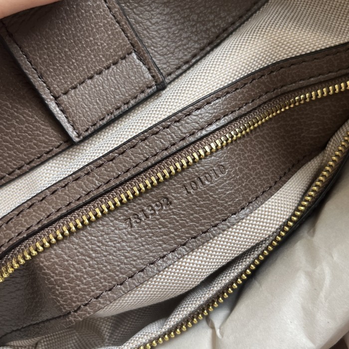 Gucci Ophidia Hobo Bag 781392 LM071 34cm