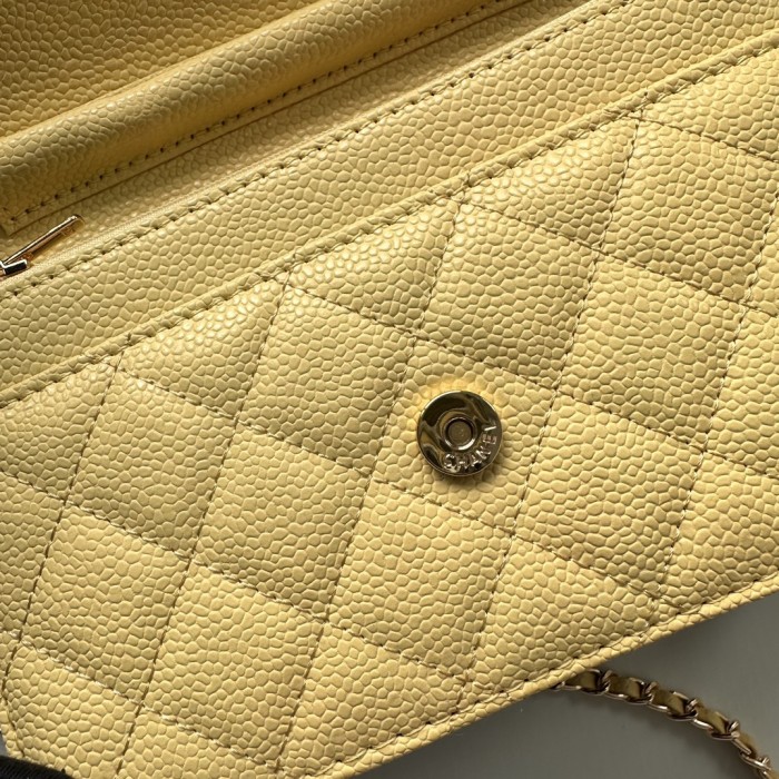 Chanel Chain Purse 33814 LM521 20cm