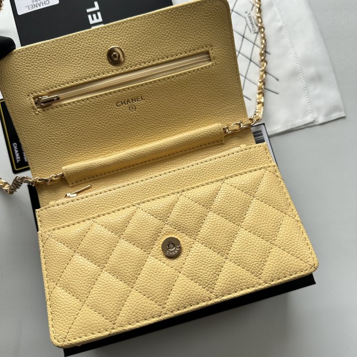 Chanel Chain Purse 33814 LM521 20cm