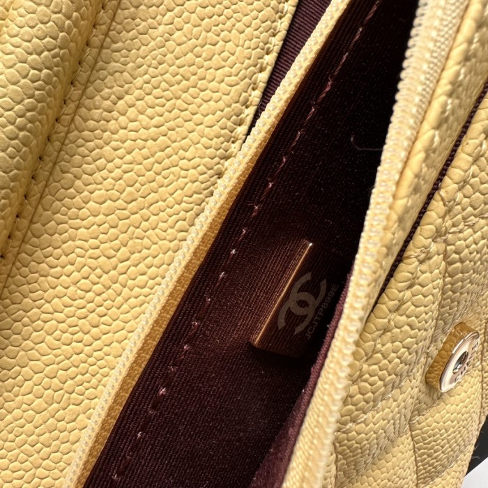 Chanel Chain Purse 33814 LM521 20cm