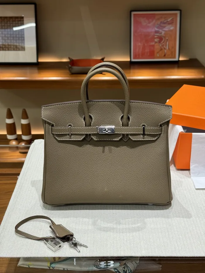 Hermes Birkin Bag Silver hardware XYZ032 25cm