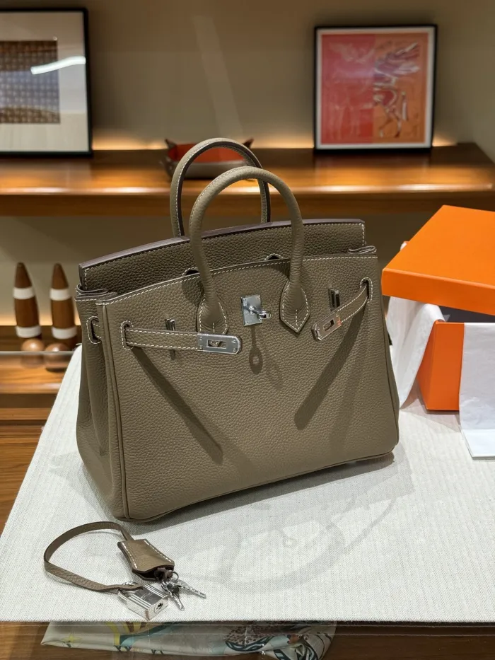 Hermes Birkin Bag Silver hardware XYZ032 25cm