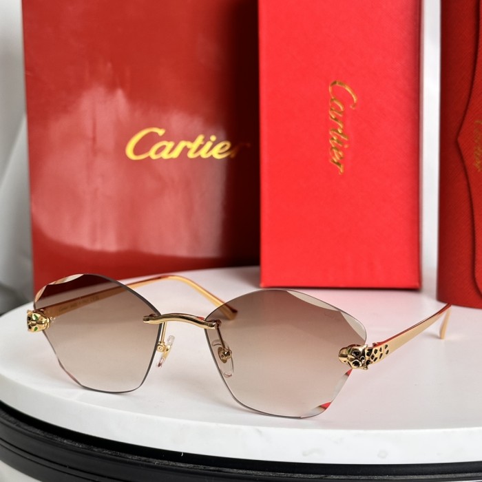 Cartier Sunglasses CT0476S SM021