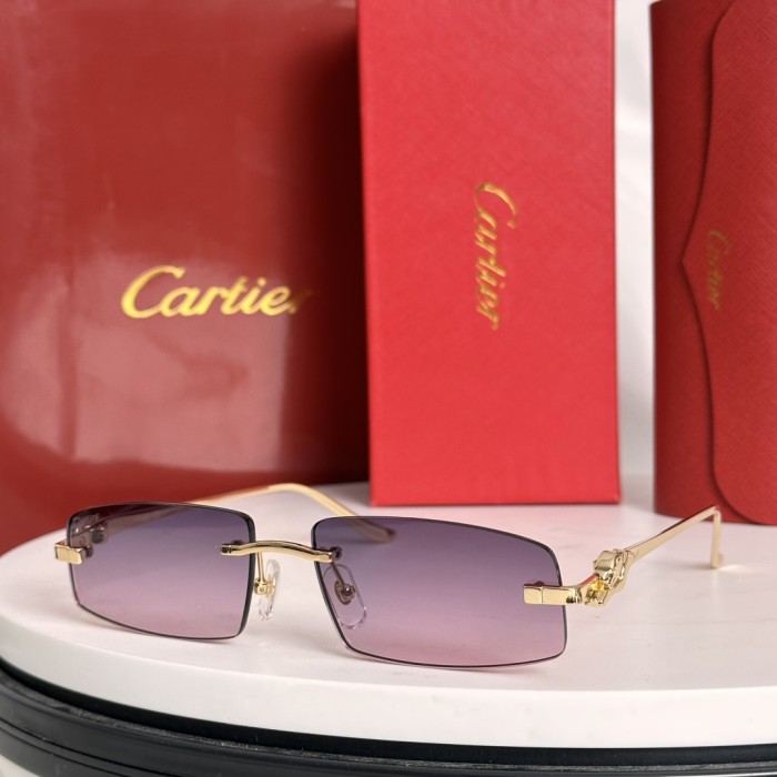 Cartier Sunglasses CT0505S SM021