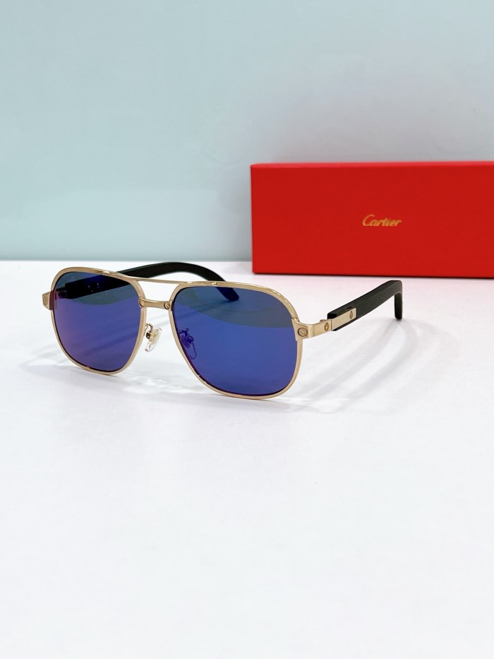 Cartier Sunglasses CT0365 SM021