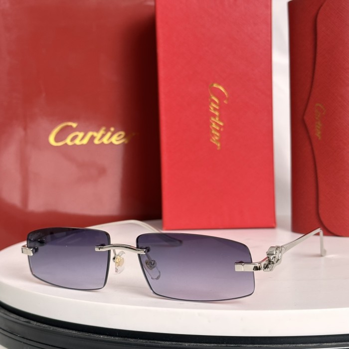 Cartier Sunglasses CT0505S SM021