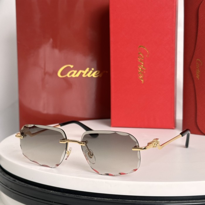 Cartier Sunglasses CT0058O SM051