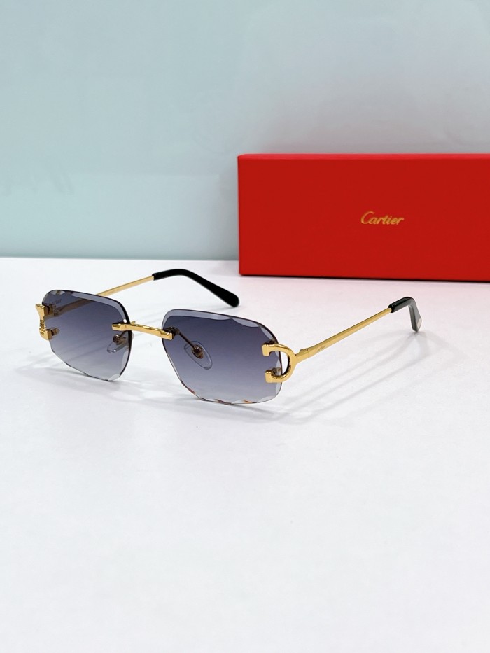 Cartier Sunglasses CT0092S SM041