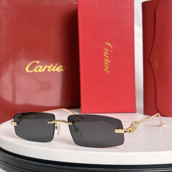 Cartier Sunglasses CT0505S SM021