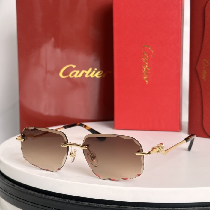 Cartier Sunglasses CT0058O SM051