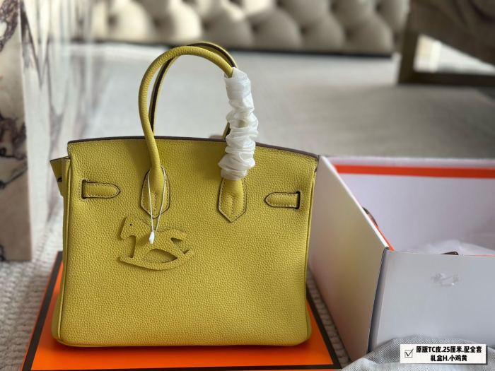 Hermes BIRKIN Bag 003 DB062 25cm