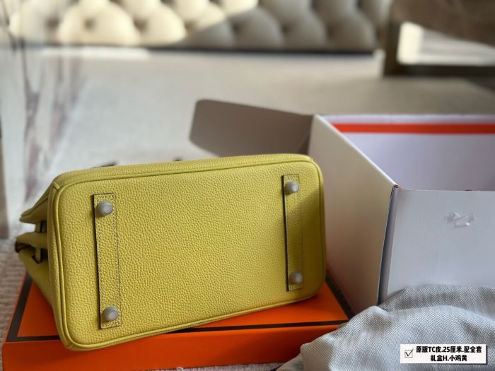 Hermes BIRKIN Bag 003 DB062 25cm