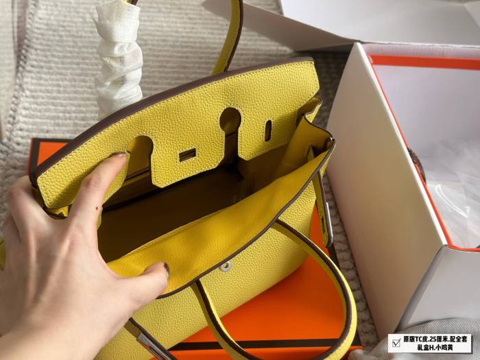 Hermes BIRKIN Bag 003 DB062 25cm