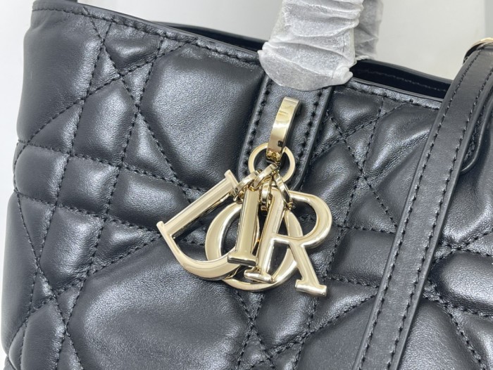 Dior Toujours Bag 0326 LM002012 18-24cm