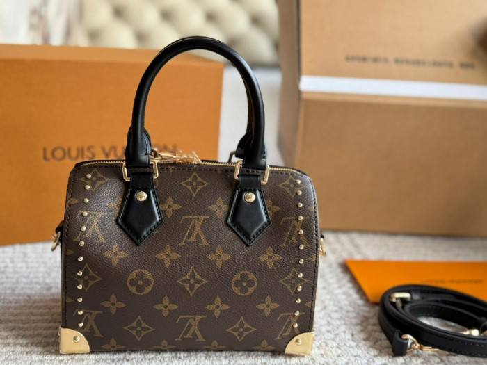 LV Speedy Bag 095 DB022 20cm