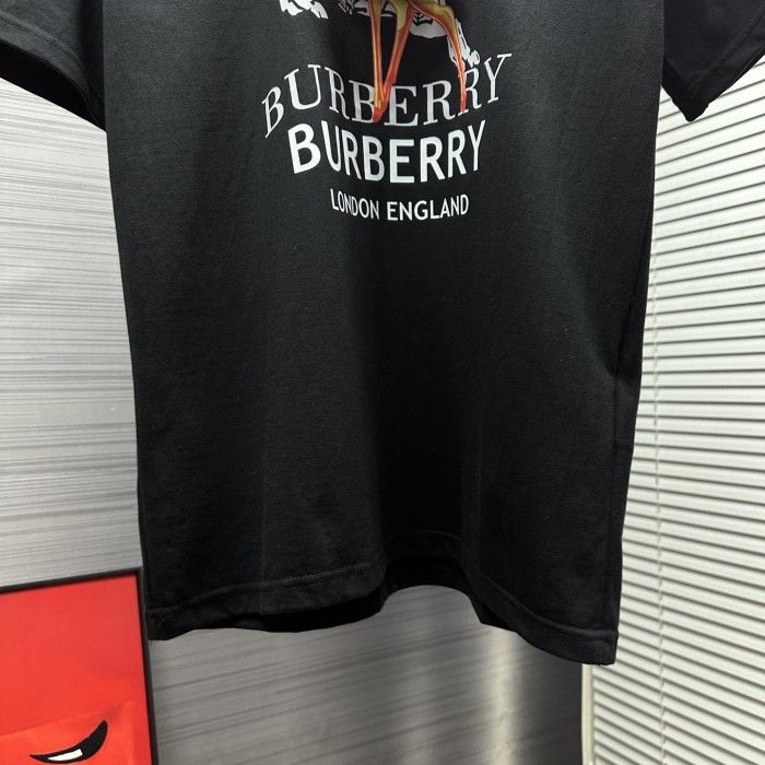 Burberry T-Shirts 004
