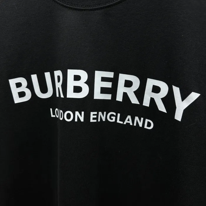 Burberry T-Shirts 011