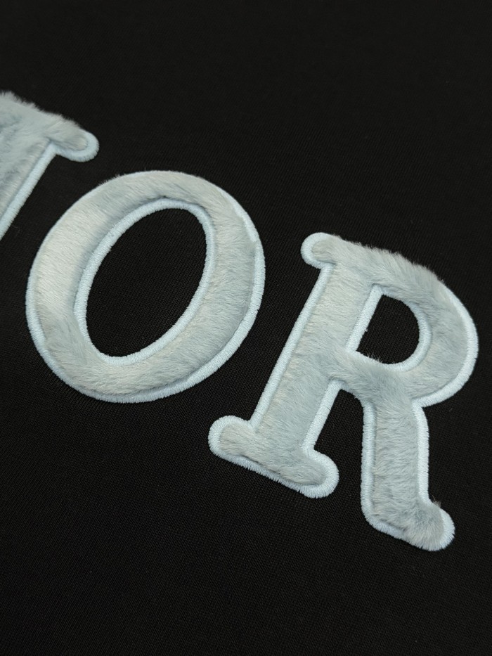 Dior T-Shirts 003