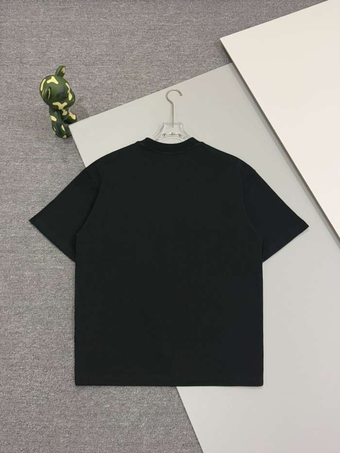 Dior T-Shirts 003