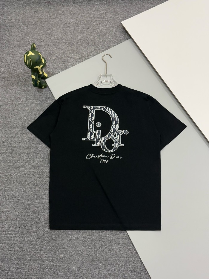 Dior T-Shirts 005