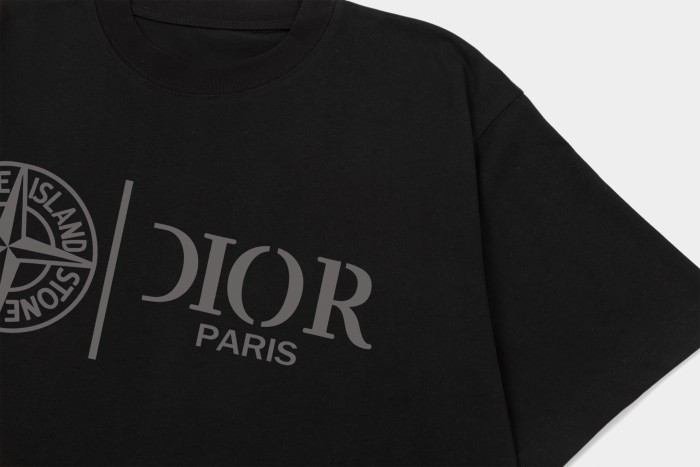 Dior T-Shirts 011