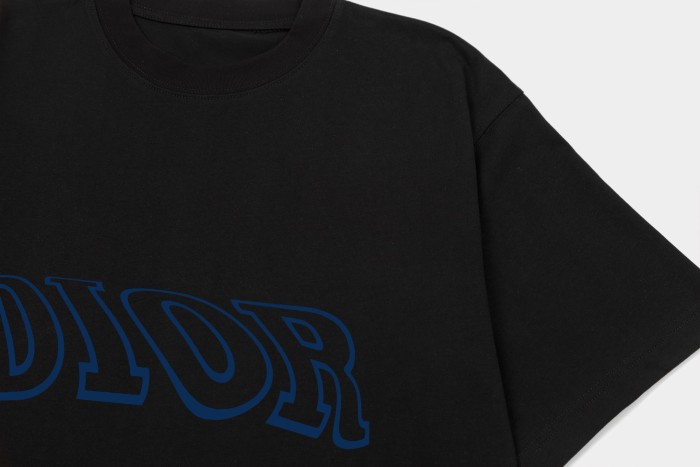 Dior T-Shirts 012