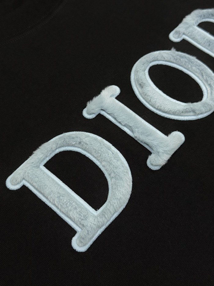 Dior T-Shirts 003
