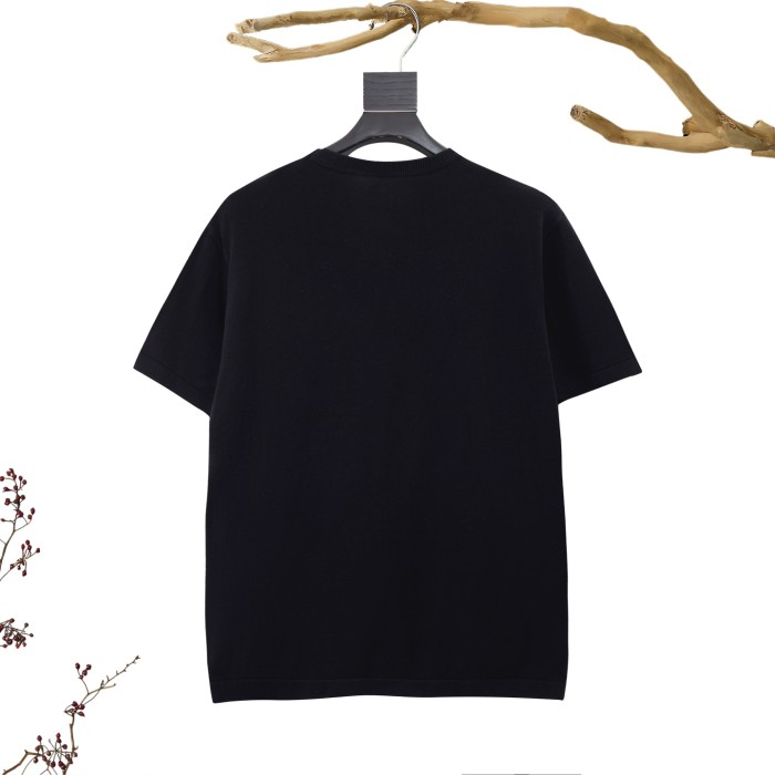 Dior T-Shirts 009