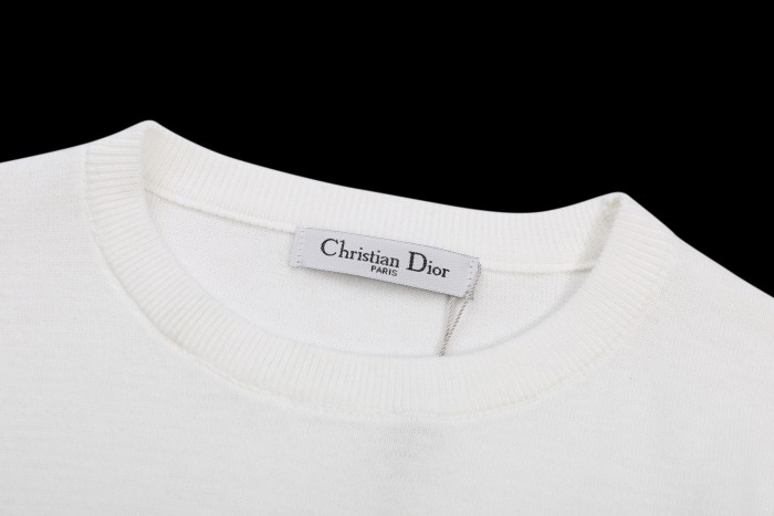Dior T-Shirts 009