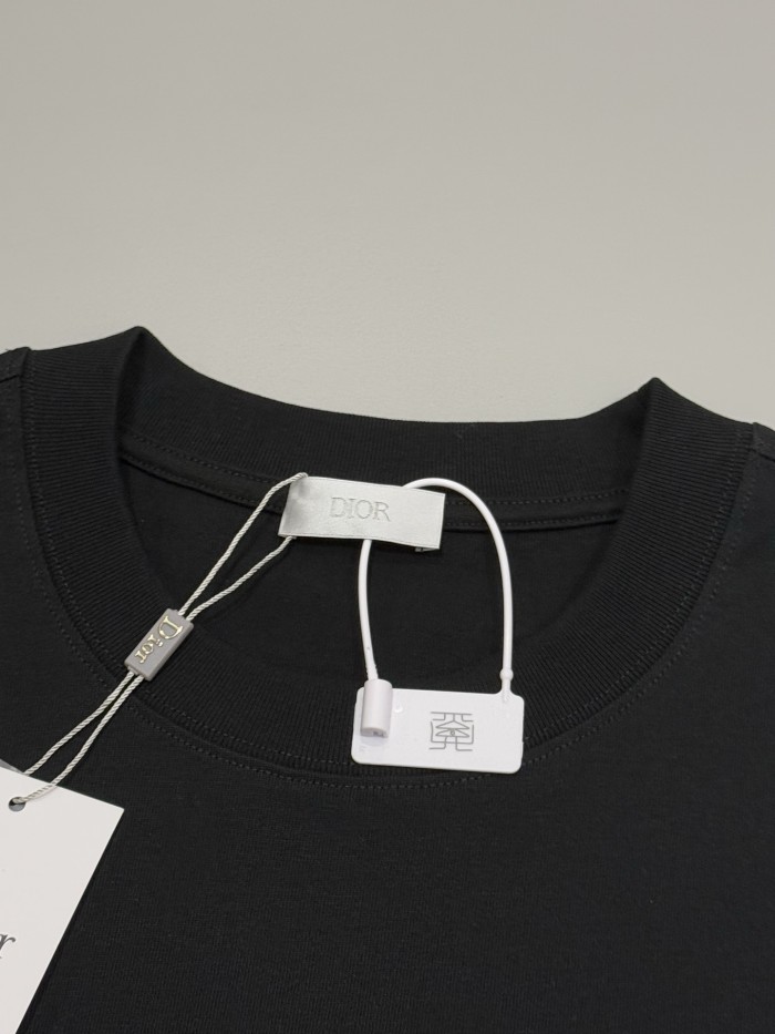 Dior T-Shirts 003