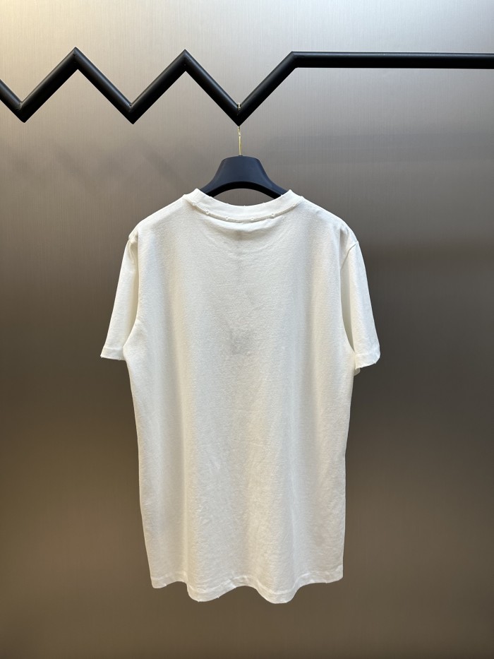 Dior T-Shirts 013