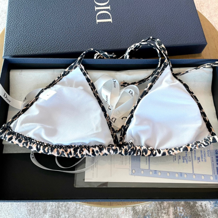 Dior Swimsuit 019