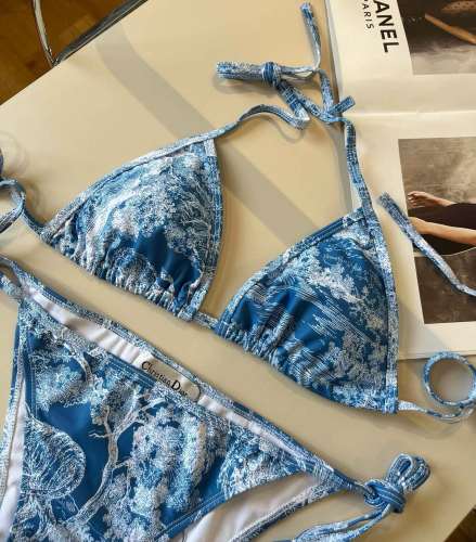 Dior Swimsuit 009
