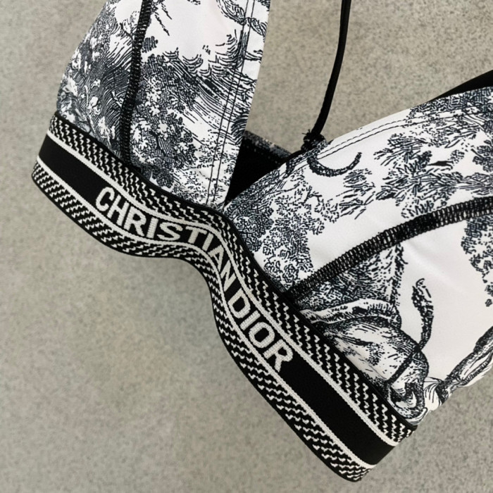 Dior Swimsuit 010