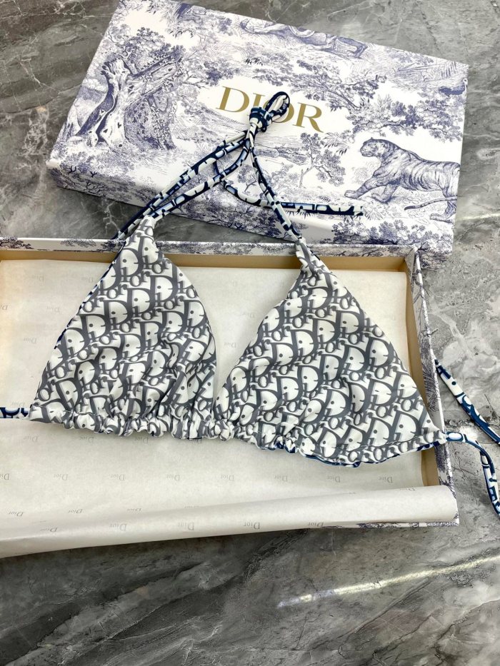 Dior Swimsuit 014