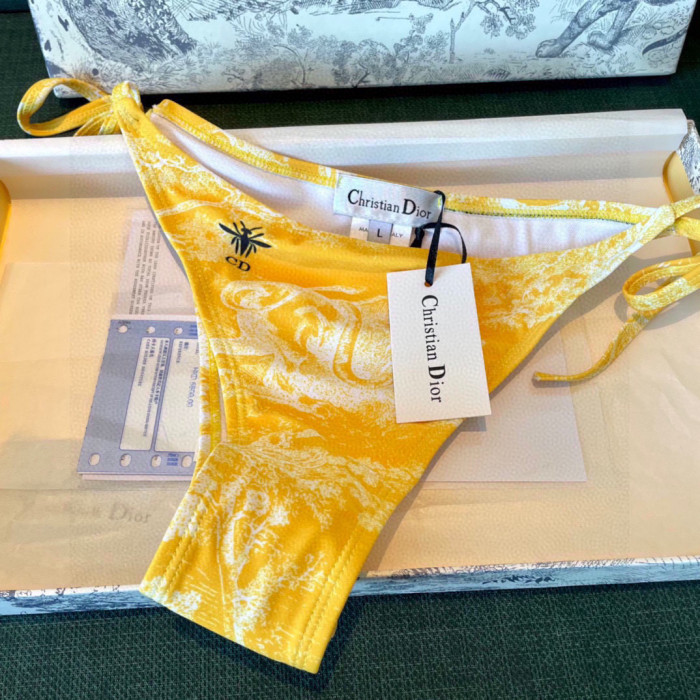Dior Swimsuit 012