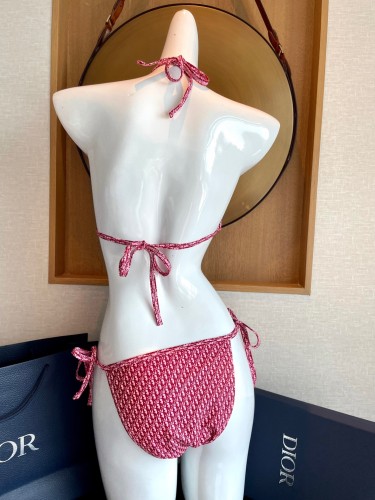 Dior Swimsuit 005