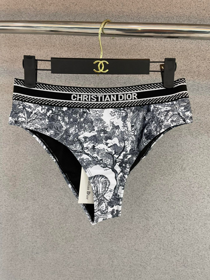 Dior Swimsuit 010