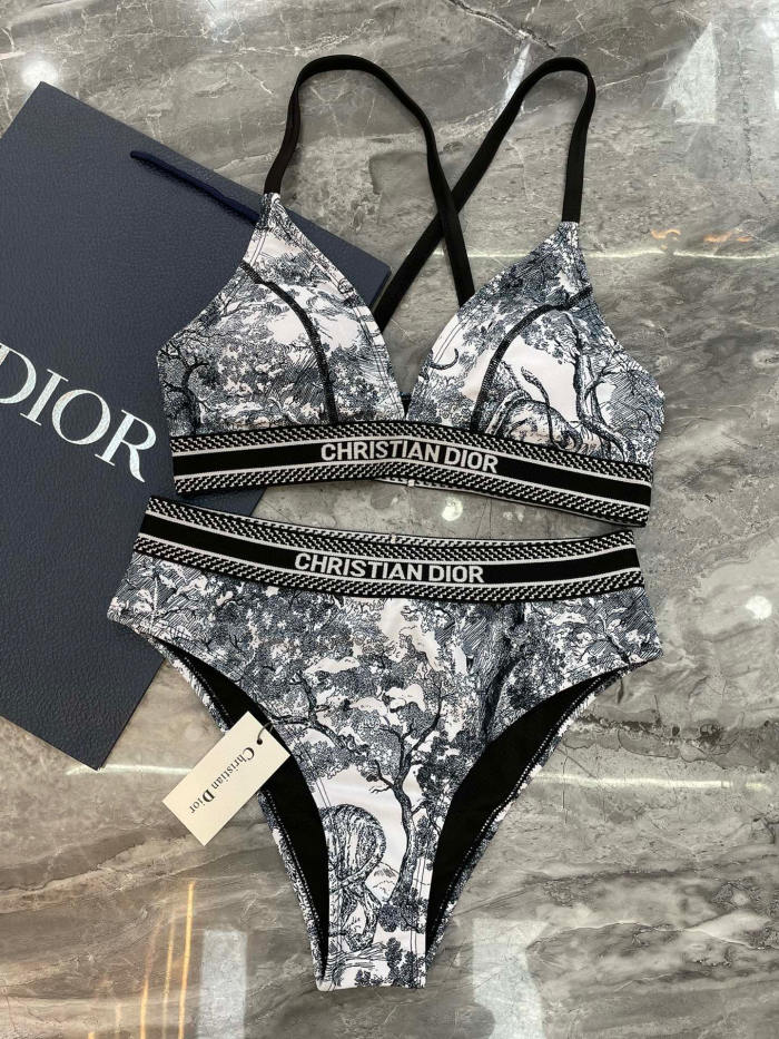 Dior Swimsuit 010