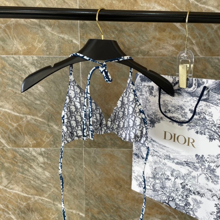 Dior Swimsuit 014