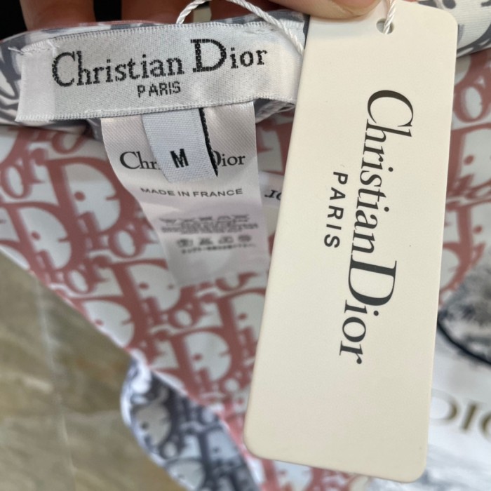 Dior Swimsuit 014