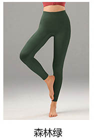 alo Yoga Pants CK2509