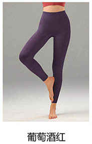 alo Yoga Pants CK2509