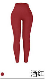 alo Yoga Pants CK2308