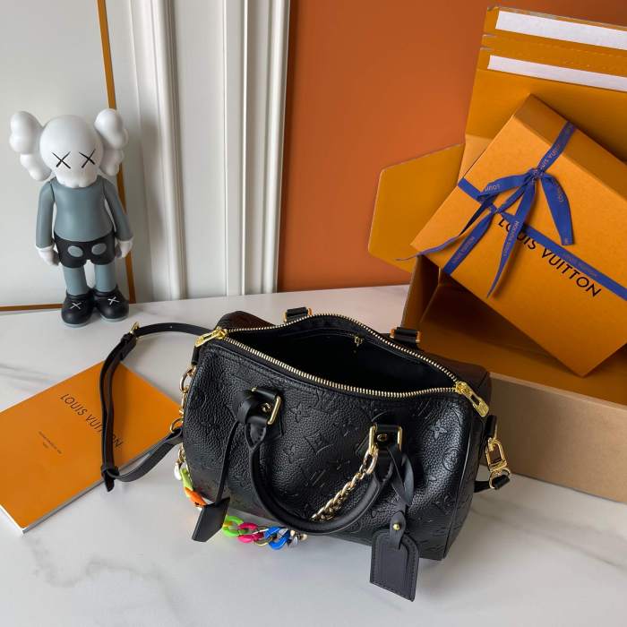 LV Nano Speedy Bag M40395 XX051 25cm