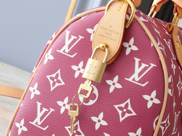 LV Speedy P9 Bandoulière 25 Bag M24426 XX061 25cm