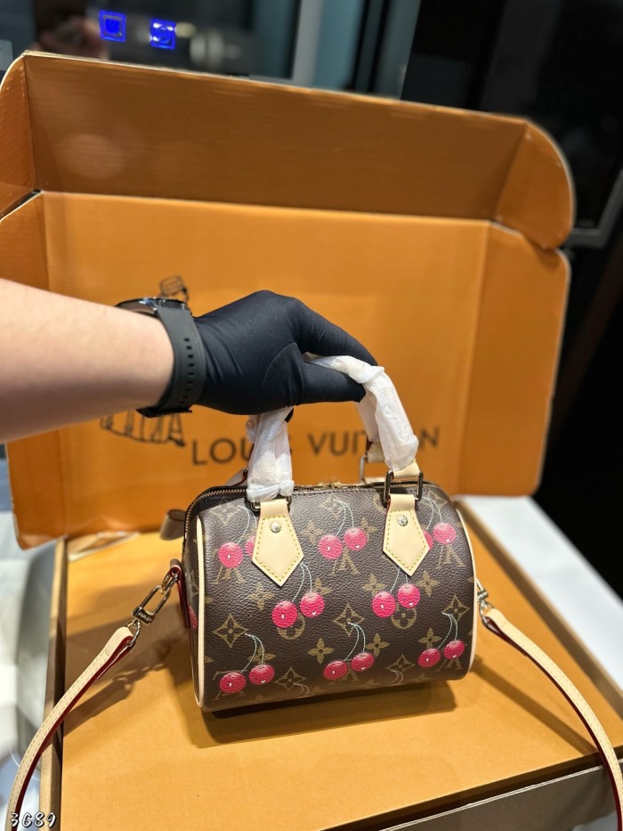 LV Speedy nano Bag 106 DB571 20cm