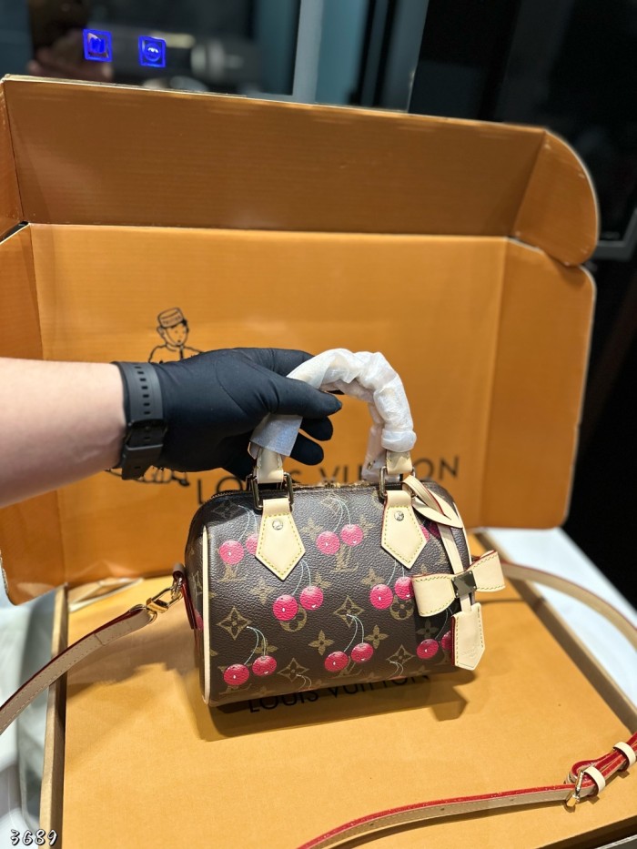 LV Speedy nano Bag 106 DB571 20cm