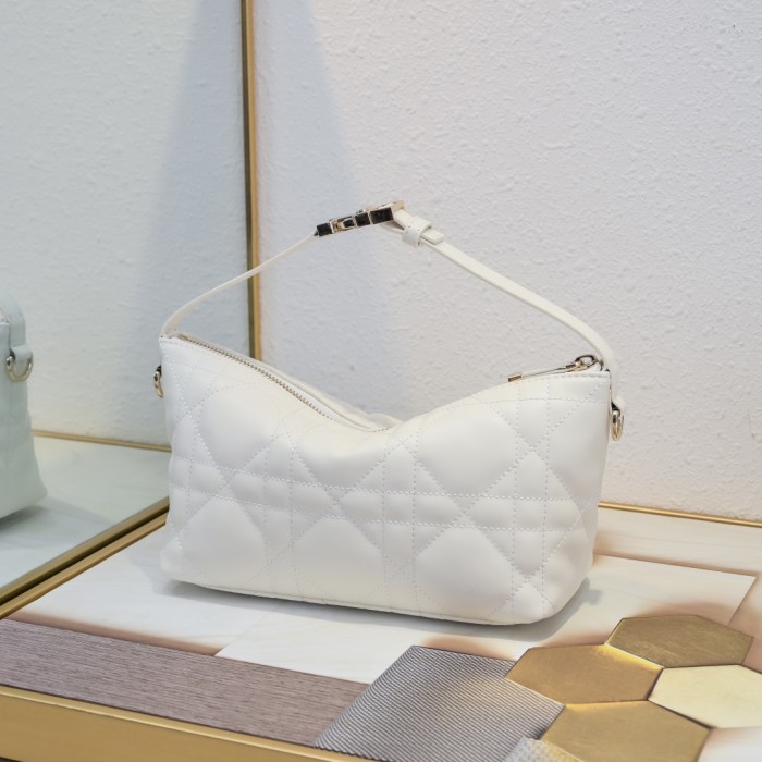 Dior Travel Nomad Clutch 5553 XB061 22cm