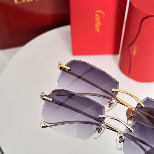 Cartier Sunglasses CT0927O SM051